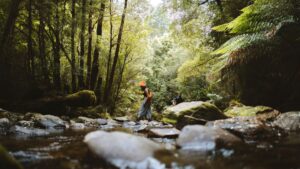 Top 10 Things to Do in Strahan