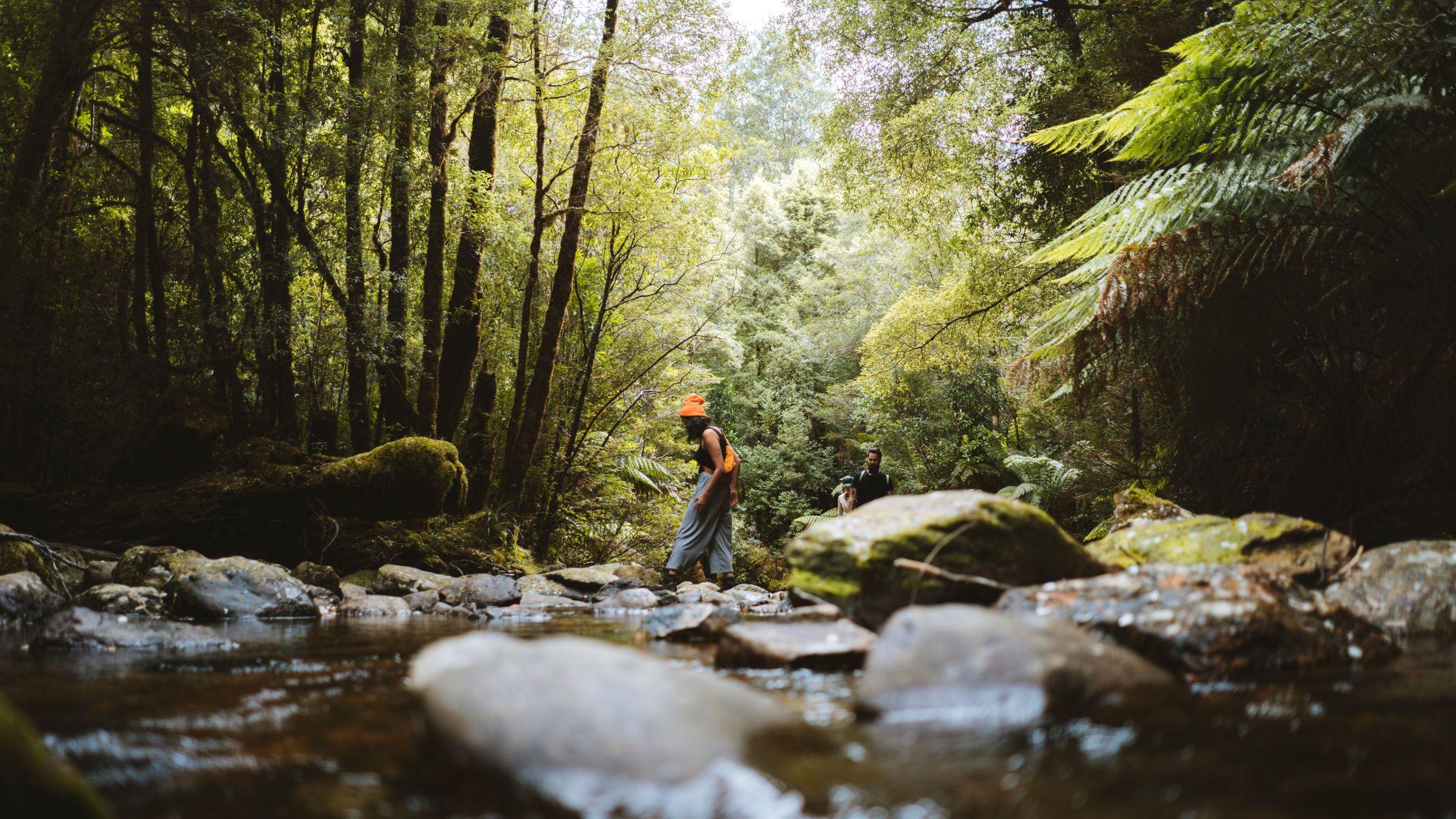 top things to do in west coast tasmania Top 10 Things to Do in Strahan