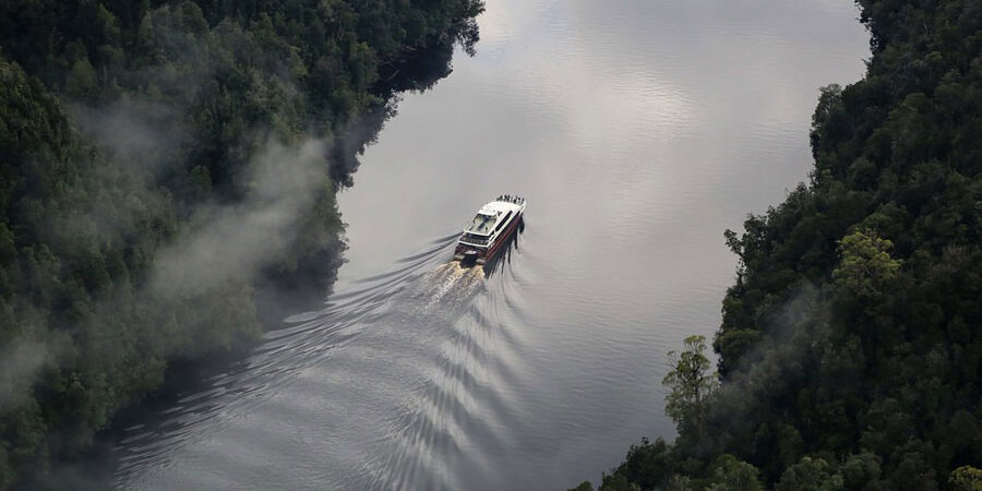 Cruise the World Heritage-Listed Gordon River