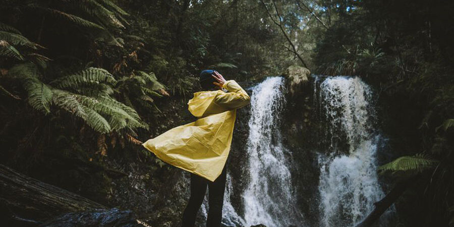 Walk to Hogarth Falls