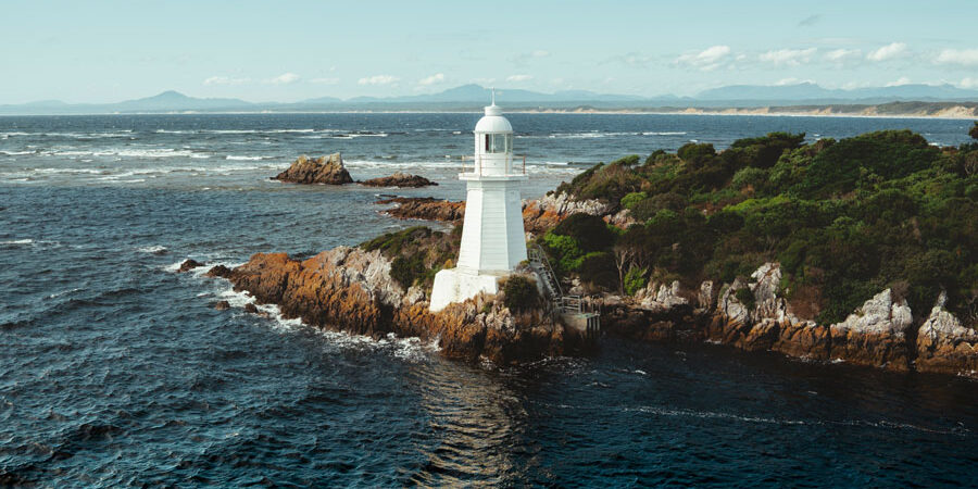 Meet the Penguins on Bonnet Island